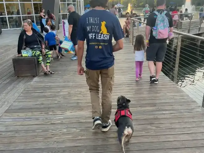Dog check-in for boarding stay at Good K9 Academy