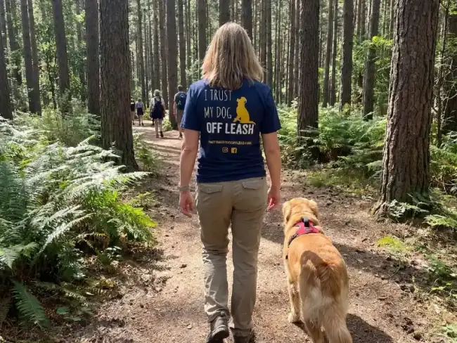 Balanced dog training at Good K9 Academy