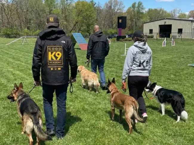 Dog trainer working with reactive dog outdoors